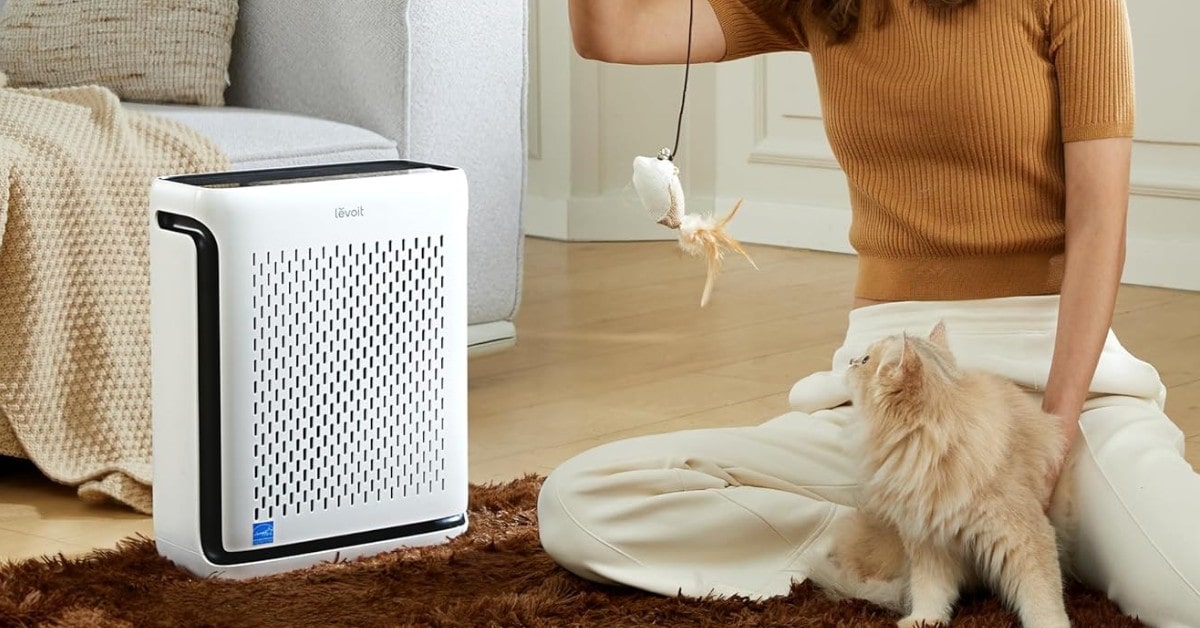 mejores purificadores de aire para gatos 2025 mejores purificadores de aire para gatos 2025