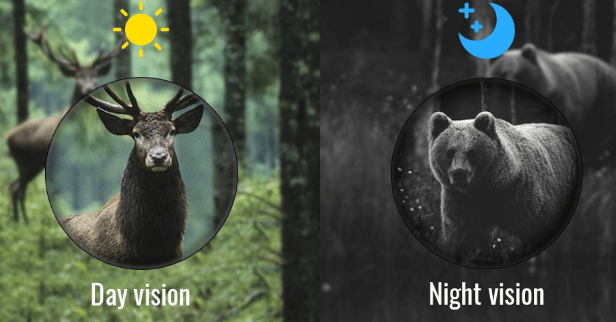 vision nocturna monocular vision nocturna monocular