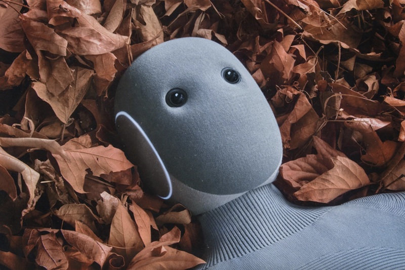 NEO Home Robot en el interior