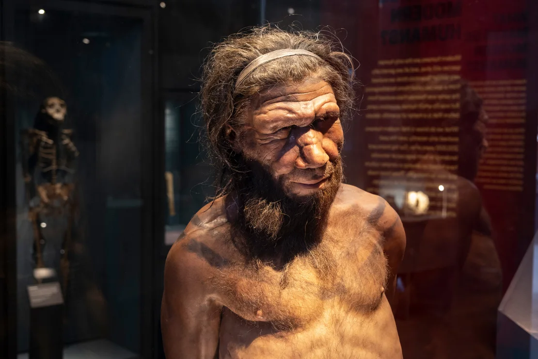 La IA ha devuelto a la vida moléculas antimicrobianas neandertales para luchar contra las superbacterias La IA ha devuelto a la vida moléculas antimicrobianas neandertales para luchar contra las superbacterias