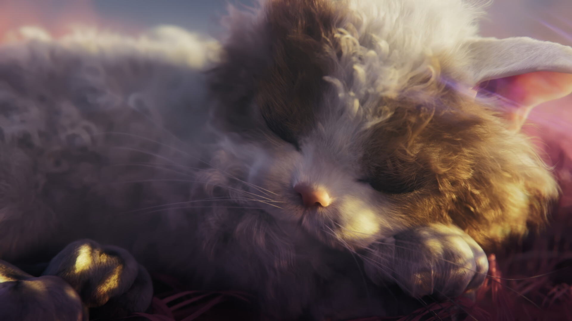Gatos en el mundo psicodélico Gatos en el mundo psicodélico