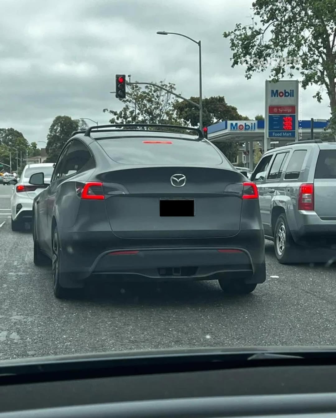Protesta contra Elon Musk a través de la marca de vehículos Protesta contra Elon Musk a través de la marca de vehículos