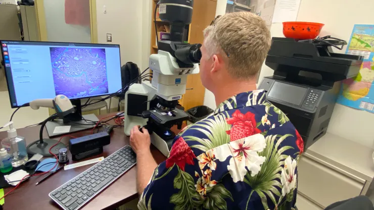 Google y el Pentágono han desarrollado un microscopio basado en inteligencia artificial para el diagnóstico del cáncer-4 Google y el Pentágono han desarrollado un microscopio basado en inteligencia artificial para el diagnóstico del cáncer-4