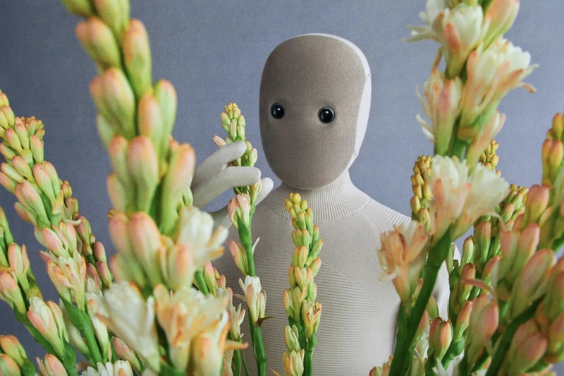 Funcionalidades del NEO Home Robot