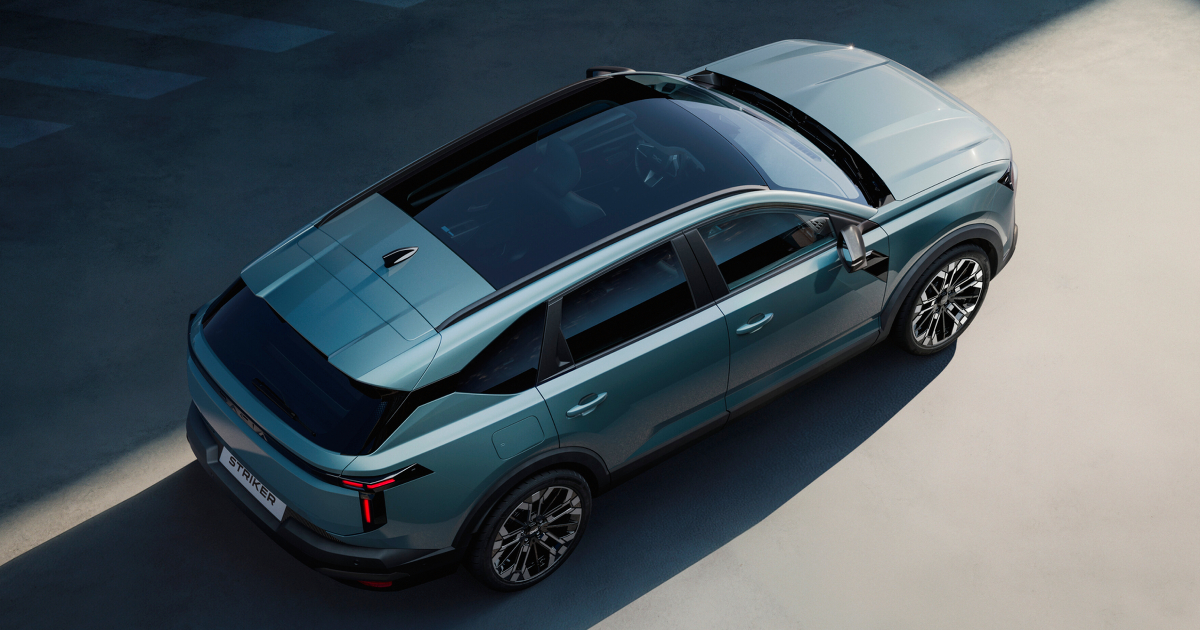 Foto 1 Dacia Striker